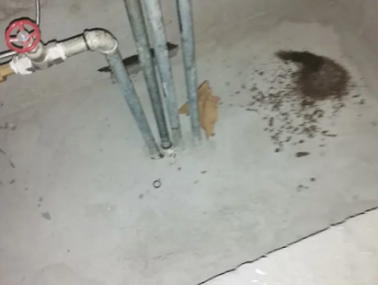 吉利卫生间测漏水价格明细